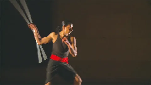 Basic Kalaripayattu DVD by Calicut Nadakkav