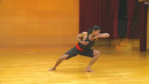 Basic Kalaripayattu DVD by Calicut Nadakkav