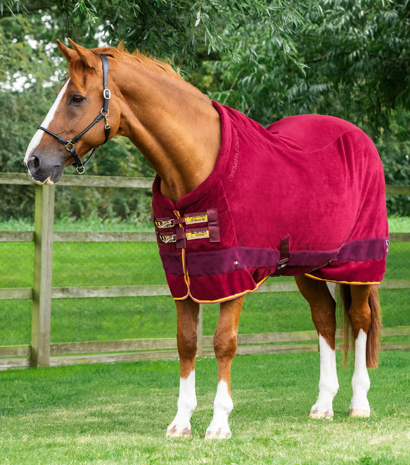 Buster Fleece Cooler Rug - Continental Edition Burgundy