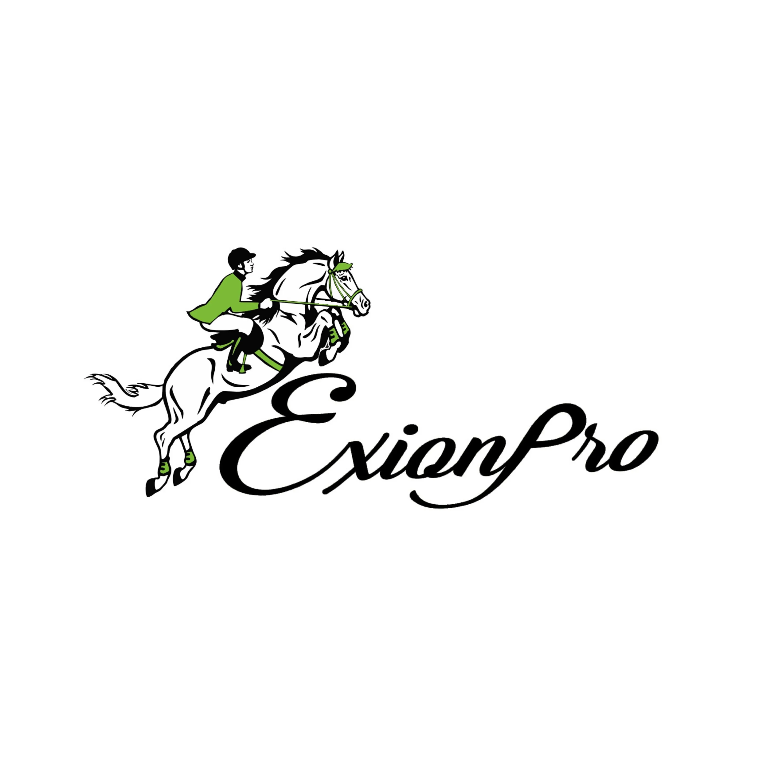 ExionPro Leather Horse Tendon Show Jump Boots - 401