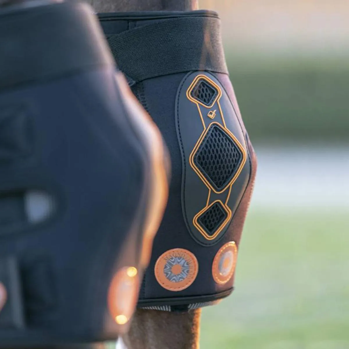 LeMieux Conductive Magno Hock Boots