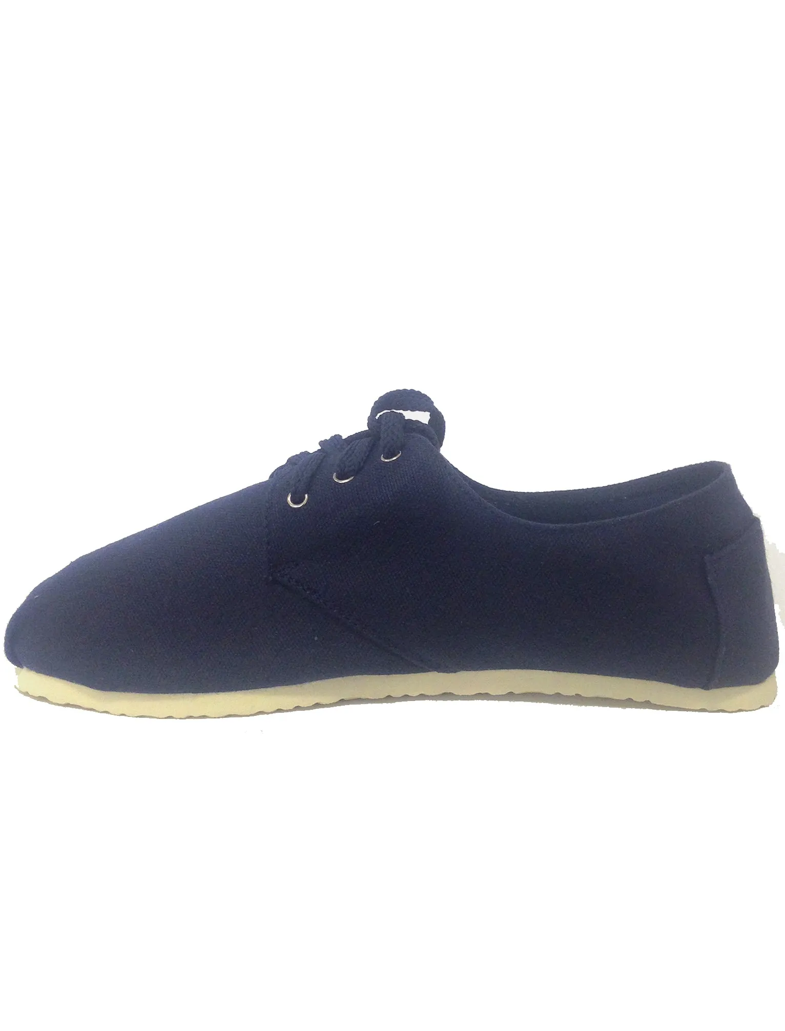 Mens Jonas Lace Up Canvas Plimsolls in Navy