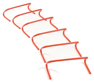 Mini Hurdles-Set of 6