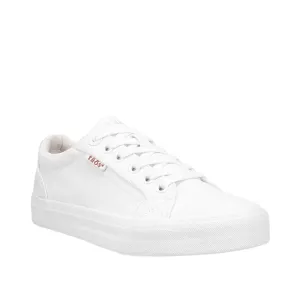 Plim Soul | Canvas | White