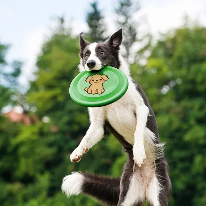 Puppy Flying Discs Training Toy